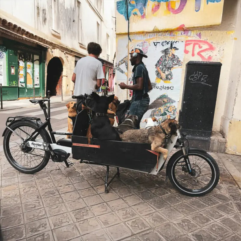 SEic|台灣首波 Cargo Bike 生活型態調查