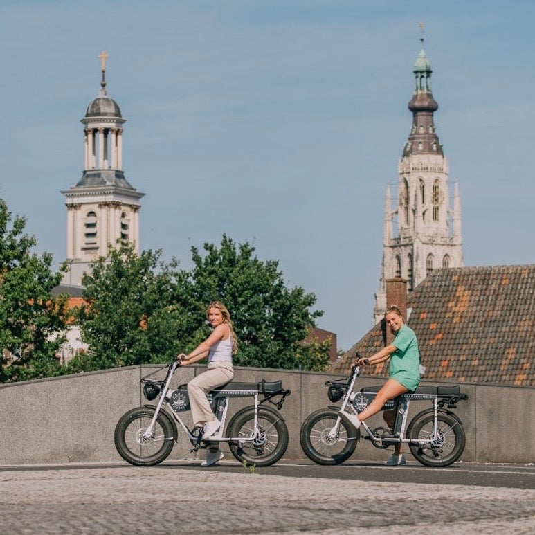E-bike touring in the Netherlands