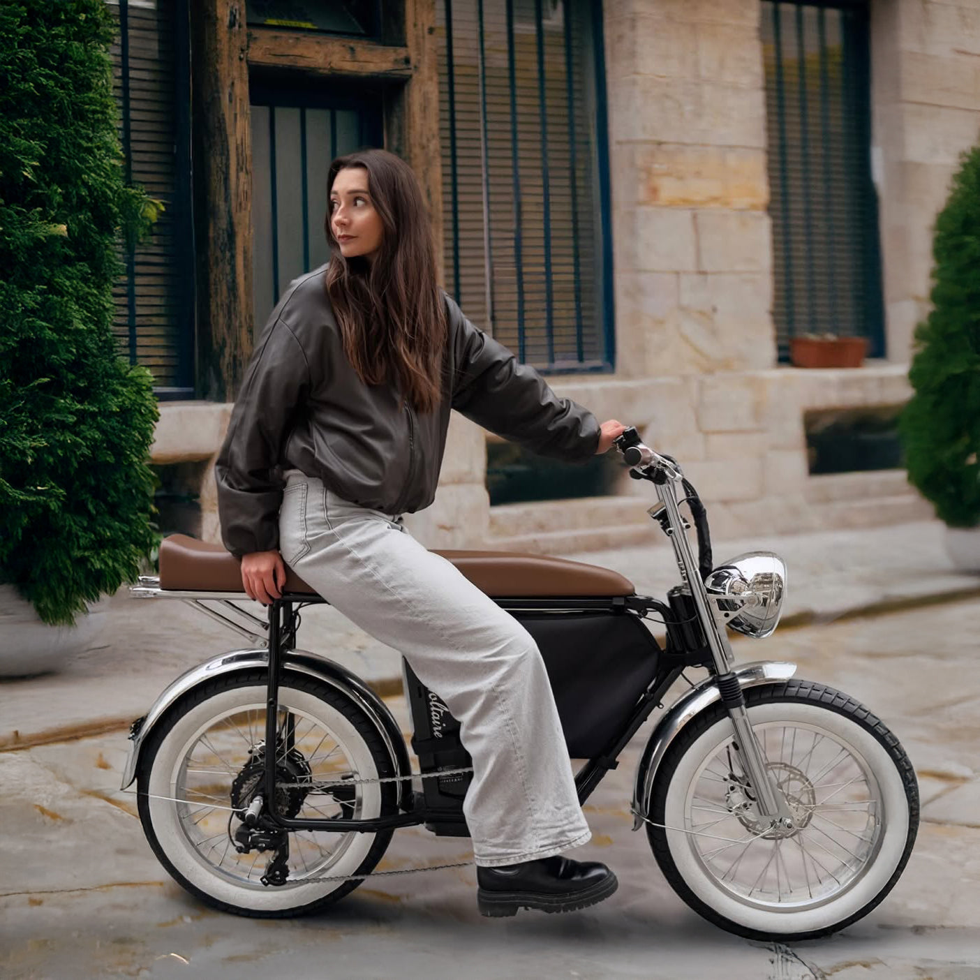 Paname 電鍍銀復古雙載電輔車 - Voltaire x Urban Drivestyle 法國台灣聯名限量款