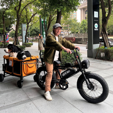 飼主騎乘 UDX 寵物電輔車，在城市中同時載著一隻大型伯恩山犬與一隻中型犬