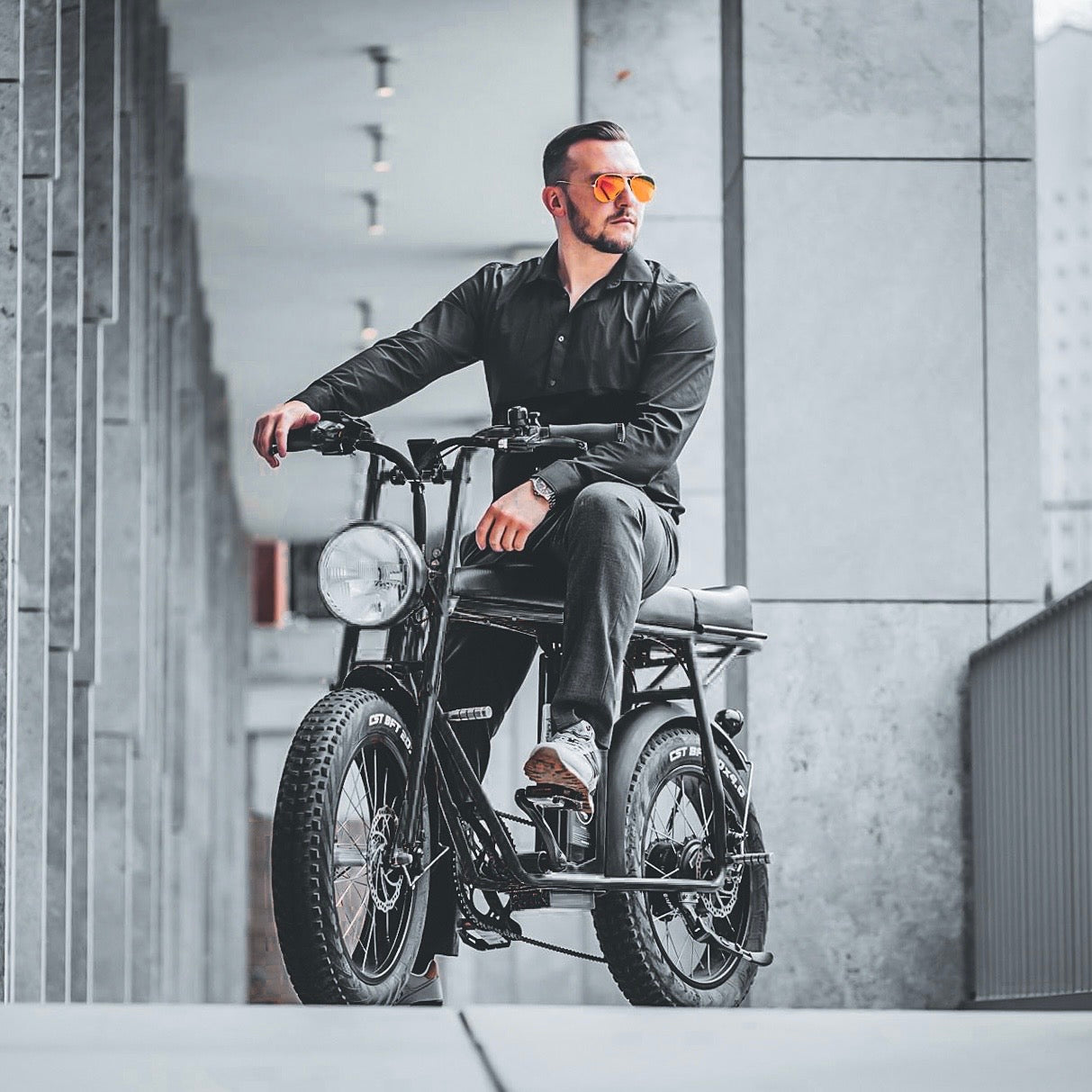 SEic Exclusive Distributor New Eco-friendly Electric Bicycle Step into the green future!