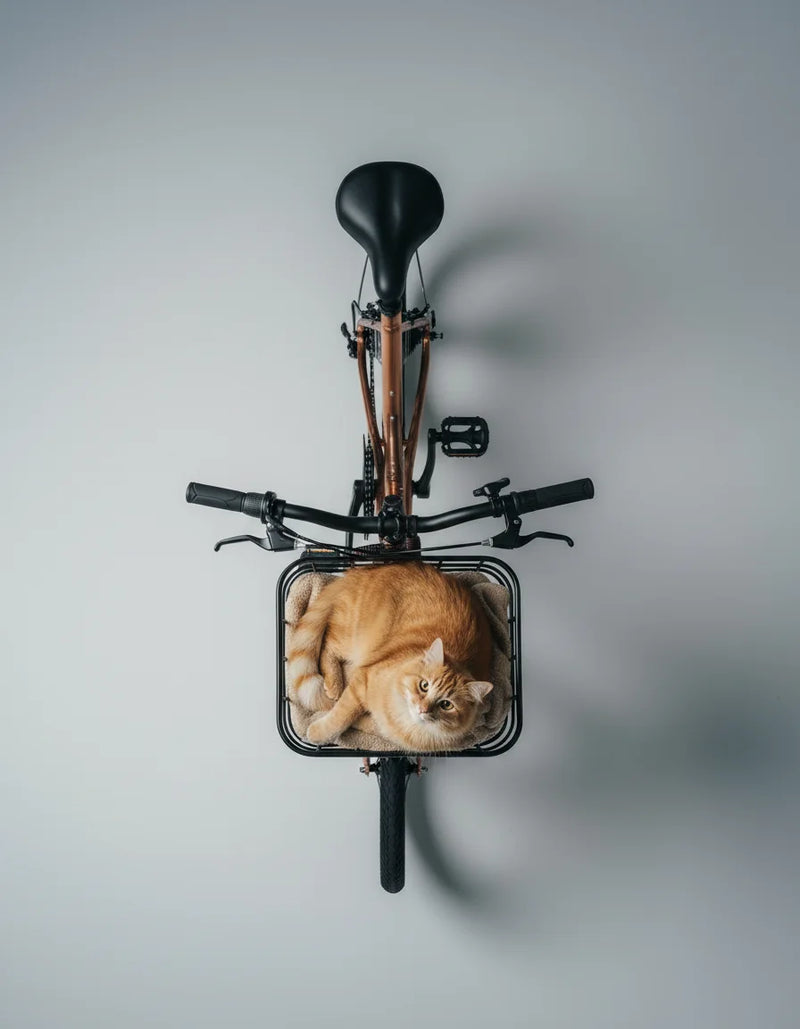 載你家寶貝出門